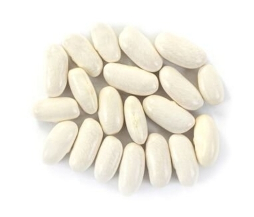 Beans  -  Kidney White